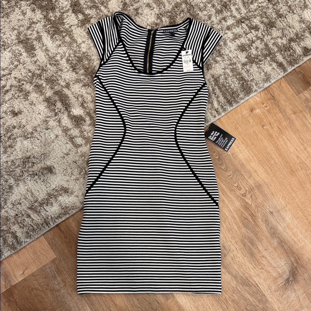Express Monochrome Striped Dress